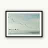 Pelican Lineup - fine art adventure photography print from Sarah Swan - available at Middles Creative