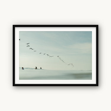 Pelican Lineup - fine art adventure photography print from Sarah Swan - available at Middles Creative