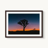 Psychedelic Joshua Tree - fine art adventure photography print from Bree Banning - available at Middles Creative
