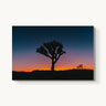 Psychedelic Joshua Tree - fine art adventure photography print from Bree Banning - available at Middles Creative