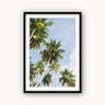 Reaching - fine art adventure photography print from Ben Gamlin - available at Middles Creative