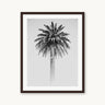 Retro Palm - fine art adventure photography print from Alex Wood - available at Middles Creative