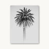 Retro Palm - fine art adventure photography print from Alex Wood - available at Middles Creative