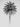 Retro Palm - fine art adventure photography print from Alex Wood - available at Middles Creative