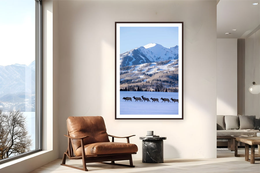 Elk Crossing by Sam Ferguson from Aspen Highlands, Colorado - framed black frame fine art photography displayed in a reading nook setting
