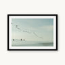 Pelican Lineup - fine art adventure photography print from Sarah Swan - available at Middles Creative