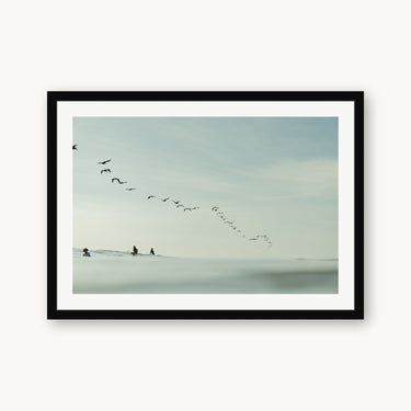 Pelican Lineup - fine art adventure photography print from Sarah Swan - available at Middles Creative
