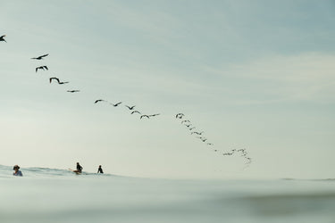Pelican Lineup - fine art adventure photography print from Sarah Swan - available at Middles Creative