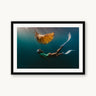 Yellow Palm - fine art adventure photography print from Sarah Swan - available at Middles Creative