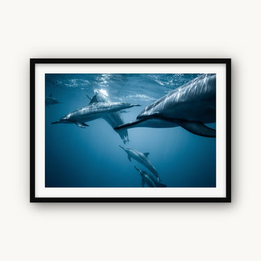 Spotted - fine art adventure photography print from Jeremy Bishop - available at Middles Creative