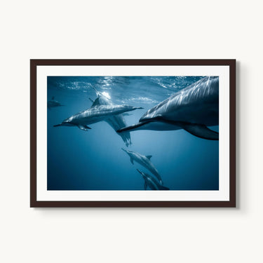 Spotted - fine art adventure photography print from Jeremy Bishop - available at Middles Creative