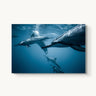 Spotted - fine art adventure photography print from Jeremy Bishop - available at Middles Creative