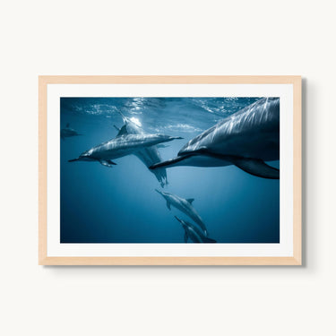 Spotted - fine art adventure photography print from Jeremy Bishop - available at Middles Creative