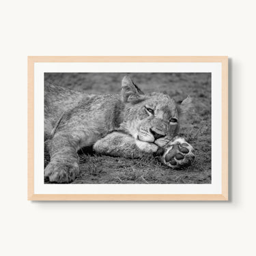 Take Paws - fine art adventure photography print from Alex Wood - available at Middles Creative