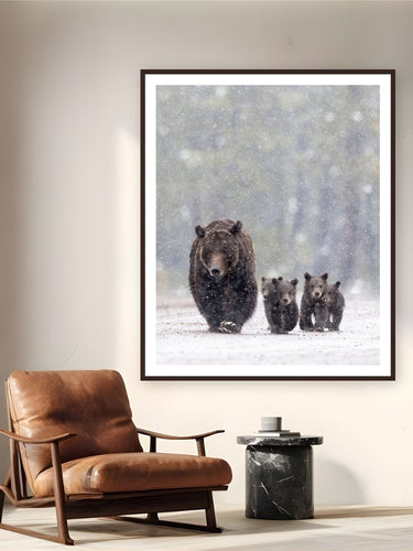 Footsteps in the Flurry by Tom Ingram from Grand Teton National Park, Wyoming - framed black frame fine art photography displayed in a reading nook setting