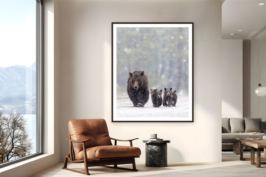 Footsteps in the Flurry by Tom Ingram from Grand Teton National Park, Wyoming - framed black frame fine art photography displayed in a reading nook setting