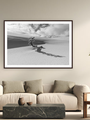 Lone Tree by Tom Ingram from Hayden Valley, Yellowstone National Park - framed black frame fine art photography displayed in a modern living room setting