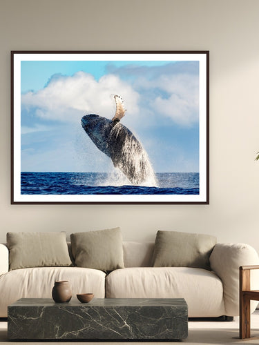 Ocean Acrobat by Tom Ingram from Maui, Hawai'i - framed black frame fine art photography displayed in a modern living room setting