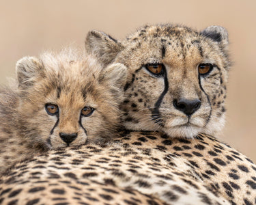 Side by Side - fine art adventure photography print from Tom Ingram - available at Middles Creative