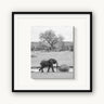 Watering Hole - fine art adventure photography print from Alex Wood - available at Middles Creative
