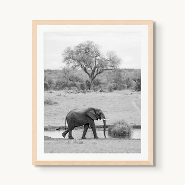 Watering Hole - fine art adventure photography print from Alex Wood - available at Middles Creative